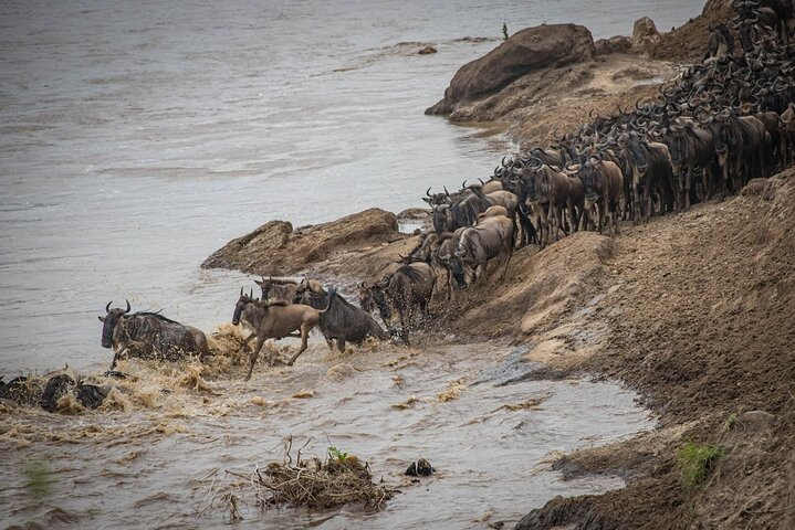 Mara river Crossing