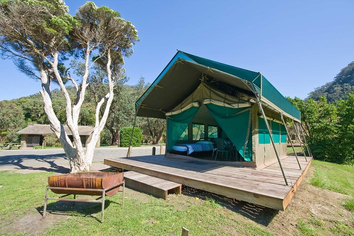 8 Days Tanzania Lodge Safari | Semi Luxury . - Photo 1 of 18