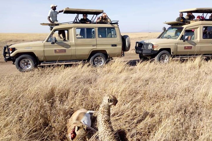 8 Days Tanzania Wildlife Safari Experience  - Photo 1 of 7