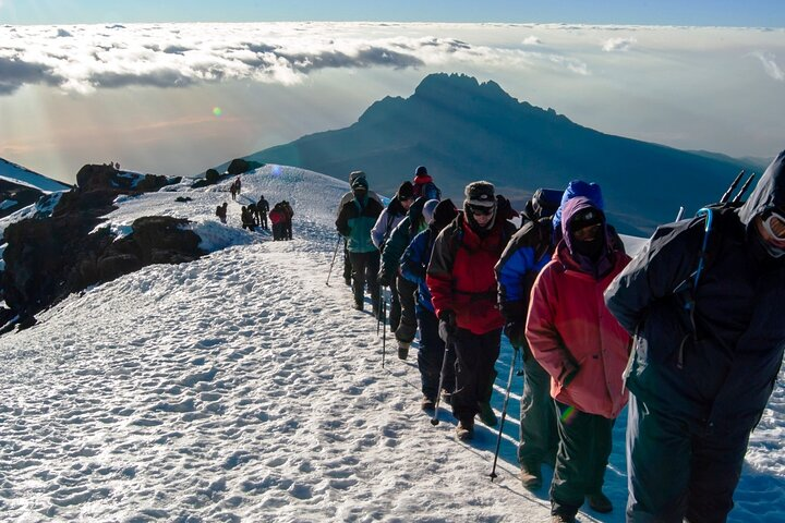 9 Day Tour in Lemosho Route Via Northern Circuit - Photo 1 of 6