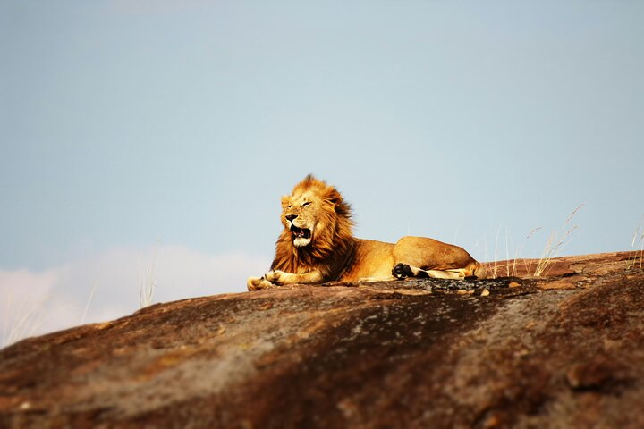The Best 4 Days Tanzania Private to Serengeti and Ngorongoro Crater.
