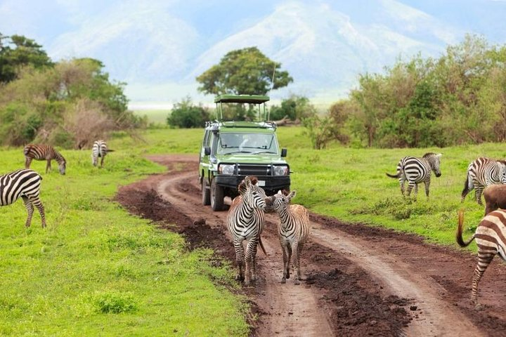 7-Days Private Midrange Safari; Serengeti & Ngorongoro Crater - Photo 1 of 9