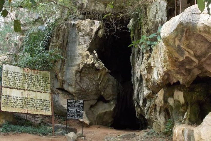 Amboni Caves - 2 Days - Photo 1 of 6