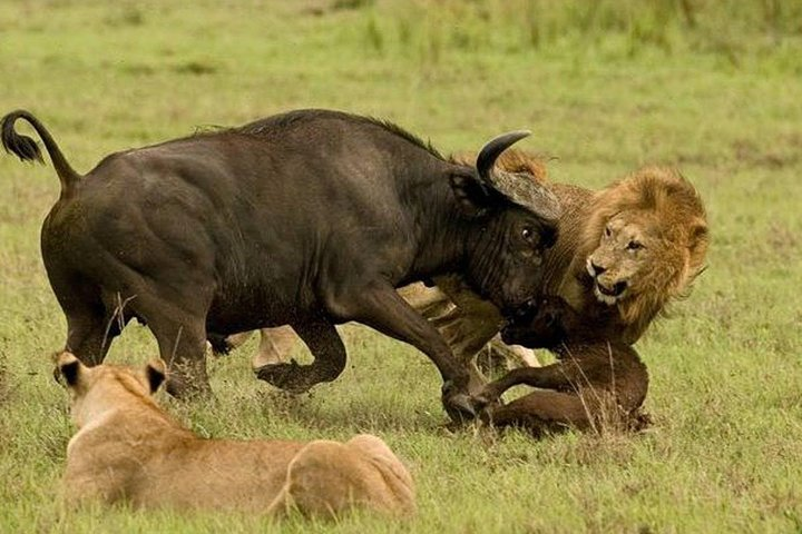 Arusha Natinional Park - Photo 1 of 6