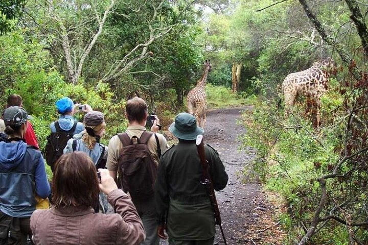 Arusha National Park (Best suited for family and walking safari) - Photo 1 of 10
