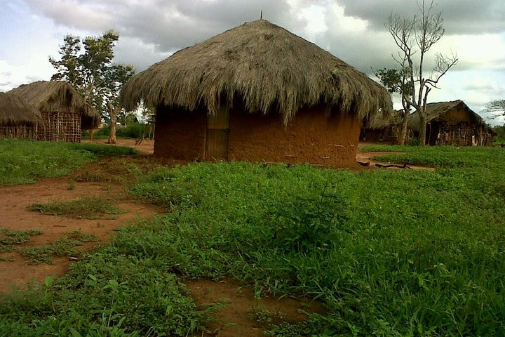 Aloys EM/2019 - BAG Series 10