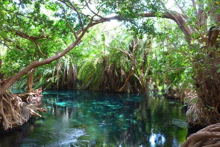 Materuni Waterfall Day Trip Tour