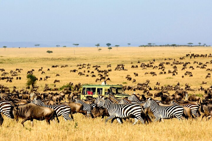 Best Of Six Days Safari Camping safari - Photo 1 of 14