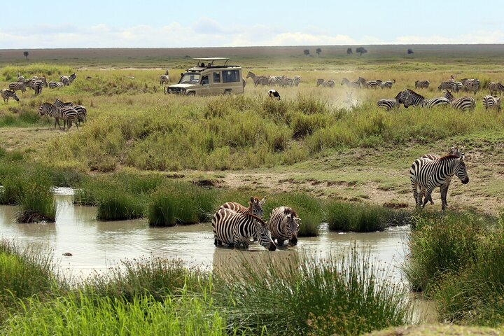 Big Five Luxury 7 Days Safari Tour in Arusha  - Photo 1 of 25