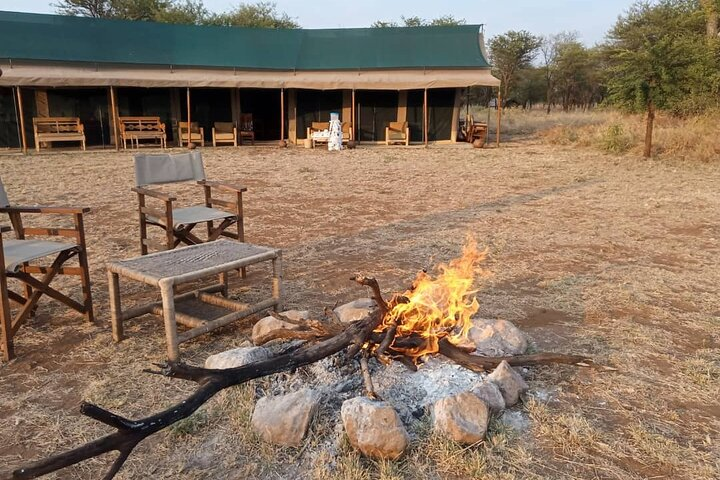 Camping Safari Great Adventure - 5 Day  - Photo 1 of 8