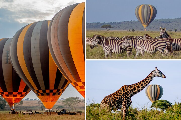 Experience a Safari from the Sky! Glide over the Serengeti at sunrise, spot animals, and take in breathtaking panoramic views - It's Nature's grandest theatre!