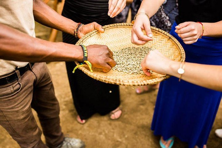 Coffee Tour Experience from Arusha - Photo 1 of 6