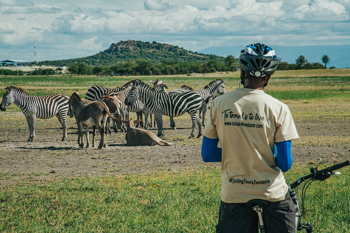 Cycle Kili to Ngorongoro Crater - Photo 1 of 7