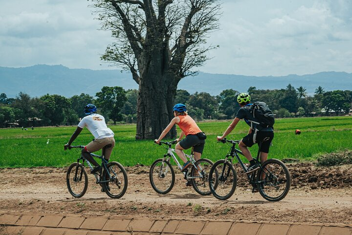 Cycle to Scenic Kikuletwa Hotspring - Photo 1 of 3