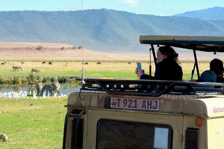 Day Tour to Ngorongoro Crater Sharing Safari - Photo 1 of 7
