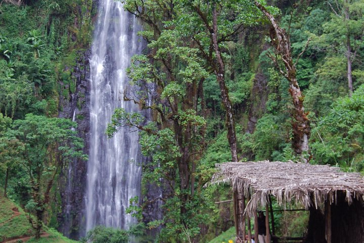 Day Trip Coffee Tour and Materuni Waterfalls - Photo 1 of 18