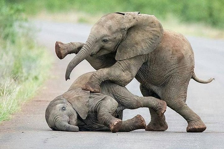 Day trip in Tarangire National Park - Photo 1 of 19