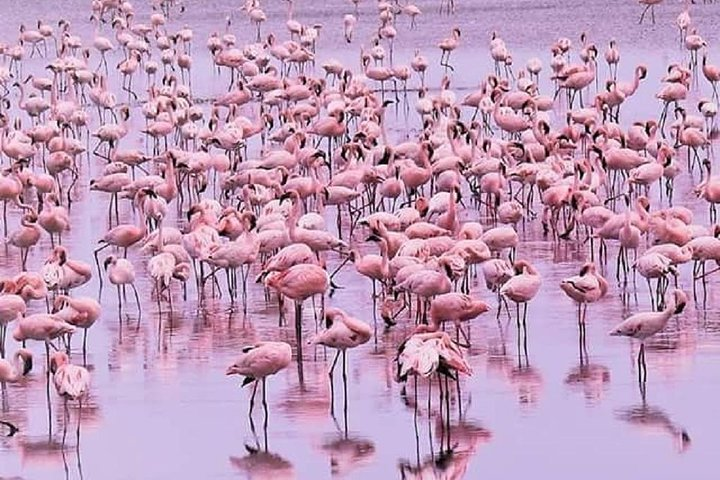 day trip lake manyara - Photo 1 of 9