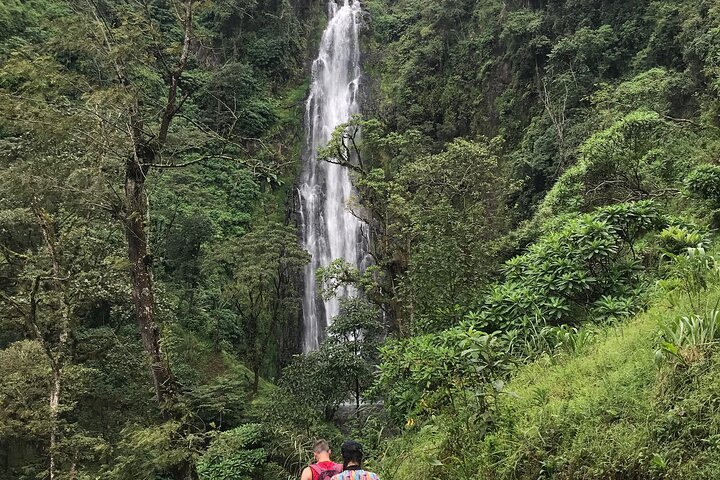 DayTour to Materuni Waterfalls with Coffee & Hotsprings Excursion - Photo 1 of 9
