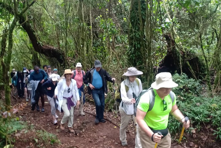 Best Kilimanjaro Adventures 6 Days Marangu Route Experience - Photo 1 of 10