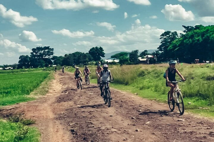 Discover the Serenity of Rau Forest on a Half-Day Bike Tour - Photo 1 of 3