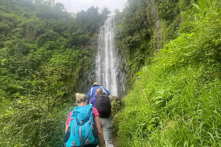 Book Your Materuni Waterfalls & Chemka Hot Springs Day Trip - Photo 1 of 10