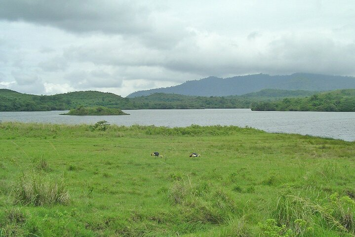 Walking safari & game drive Day trip in Arusha National park - Photo 1 of 11