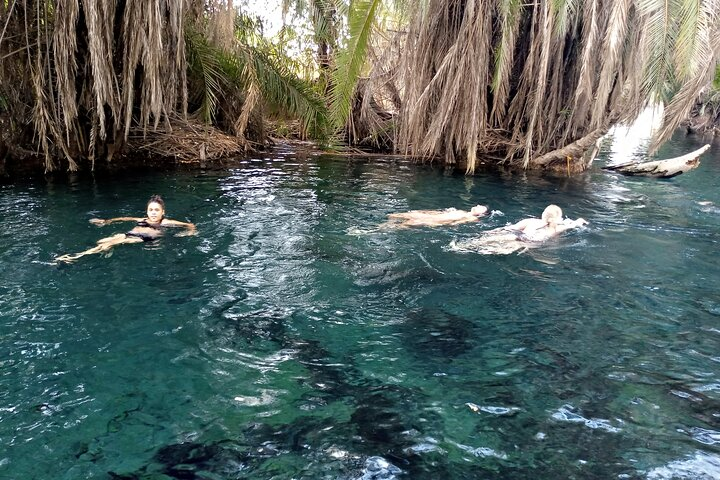 1 Full Day to Materuni Waterfalls, Coffee Tour & Chemka Hotspring - Photo 1 of 6