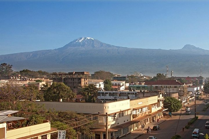 Full-Day Moshi Private Forest Walk and Local Market Tour - Photo 1 of 9