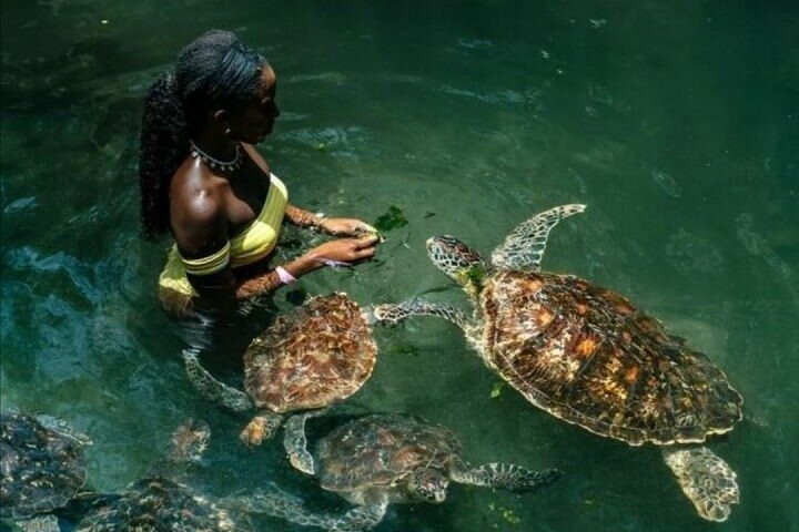Full Day Private Zanzibar Tour with Sunset Beach - Photo 1 of 19