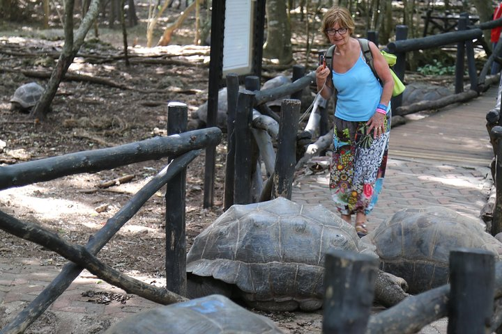 Prison Island tour in Zanzibar