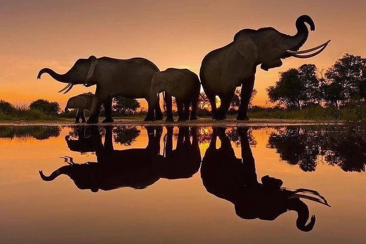 Private Day Trip to Ngorongoro Crater - Photo 1 of 6