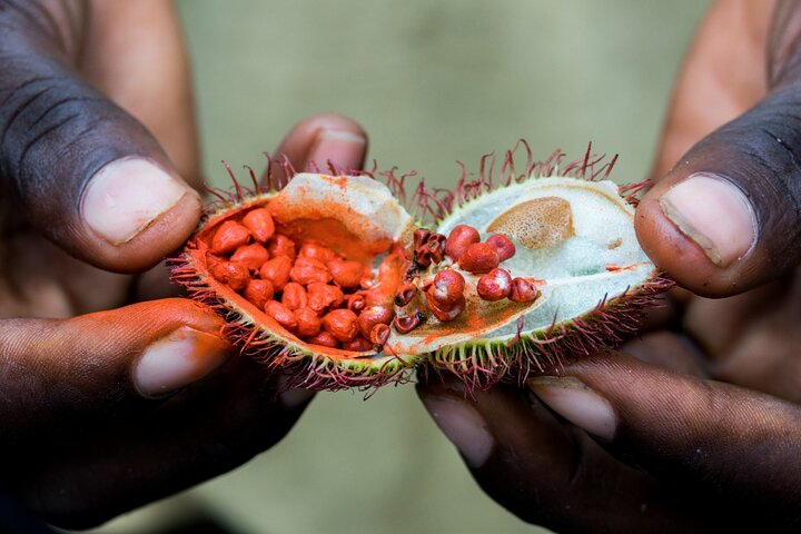 Zanzibar: Half - Day Spice Farm Tour, the flavors of Zanzibar - Photo 1 of 3