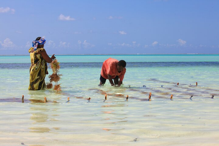Jambiani Village Cultural Private Tour - Photo 1 of 4