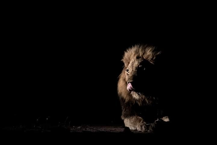 Joining Tanzania Safaris groups - Photo 1 of 5