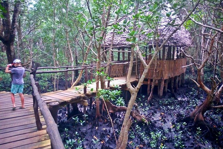 Jozani Forest Tour - Photo 1 of 5