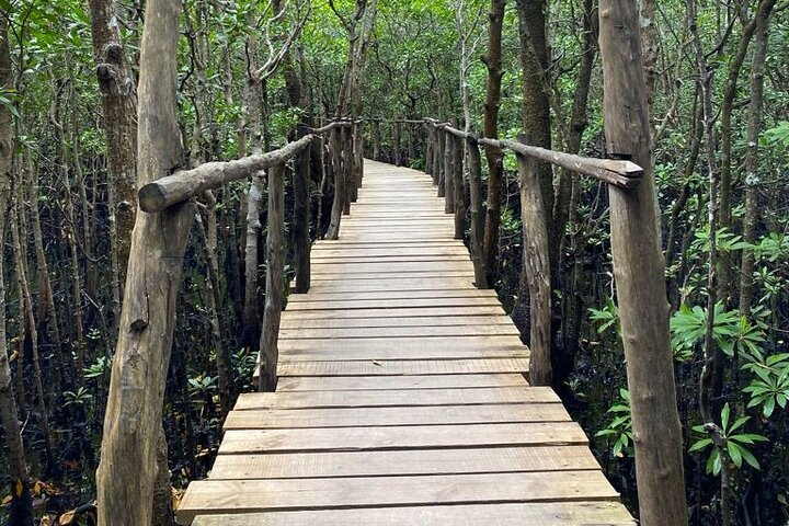 Jozani, Kuza Cave, Paje & The Rock Private Tour - Photo 1 of 4