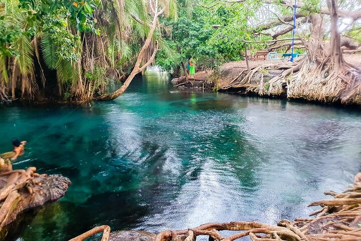 Kikuletwa Hot Spring Experience - Photo 1 of 16