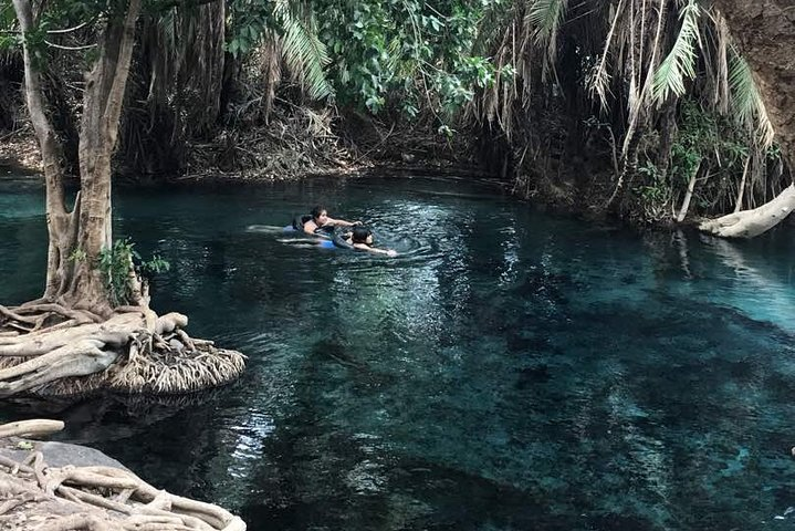 Taking an afternoon swim in a Natural Hotspring at Kikuletwa in Tanzania