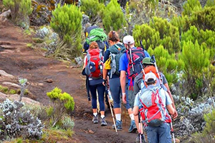 Kilimanjaro day trip starting from Arusha - Photo 1 of 12