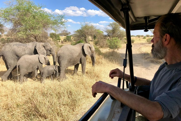 Kilimanjaro: Lemosho Route and Camping Safari - Photo 1 of 18