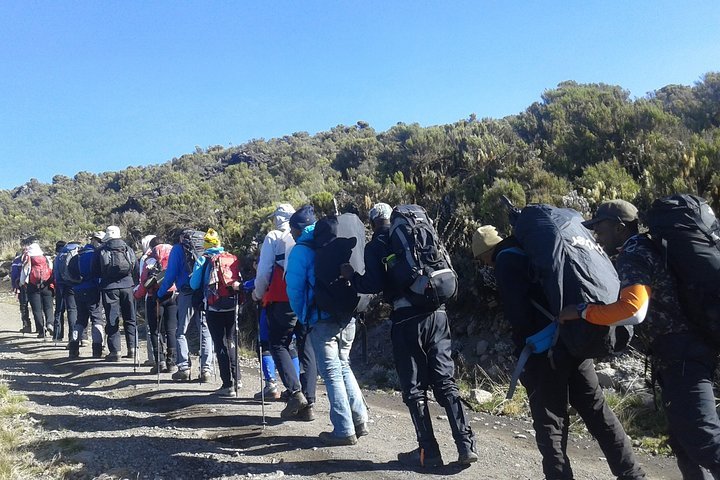 Kilimanjaro Machame Route Day Tour - Photo 1 of 4