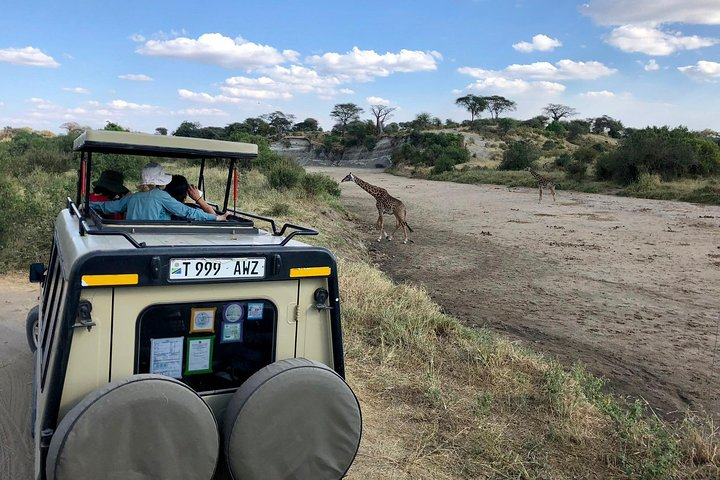 Kilimanjaro: Marangu Route and Camping Safari - Photo 1 of 10