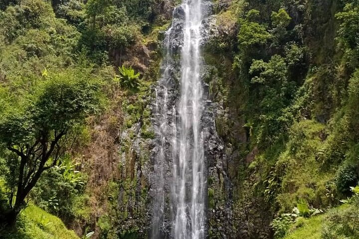 Mt. Kilimanjaro Day hike Materuni waterfall  - Photo 1 of 3