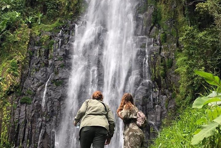 Kilimanjaro Waterfalls Hike & Moshi Hot Springs Day Trip Tour - Photo 1 of 12