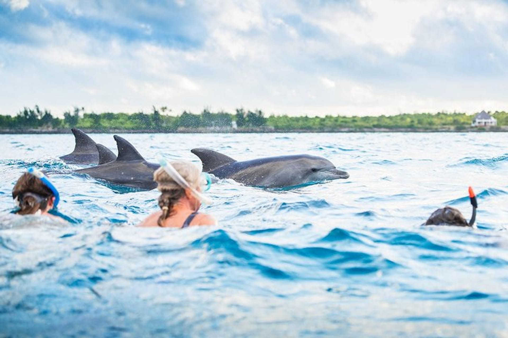 Kizimkazi Dolphin Tour in Zanzibar City | Pelago