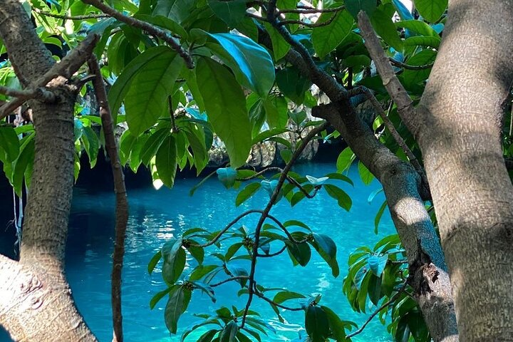 Maalum Zanzibar; Prison Island Tour; The Island Pongwe Restaurant; Baraka Natural Aquarium; Kendwa Sunset Beach