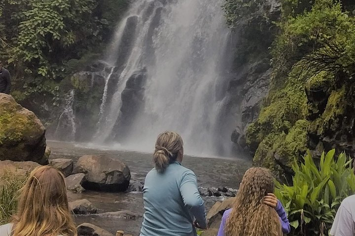 Marangu Waterfalls, Coffee & Chagga Caves Tour - Photo 1 of 3