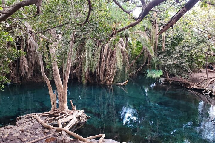 Private Materuni and Chemka Hotspring Tour - Photo 1 of 5