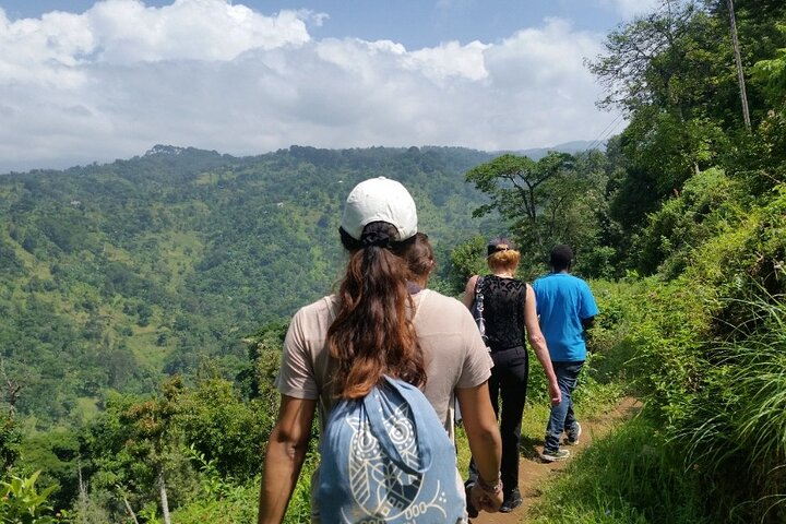 Trail leading to Materuni Waterfall